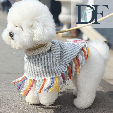 Adorable Pet Fashion Shows by Dogfather